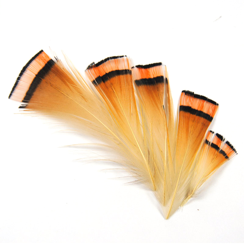 50 pces cor natural ouro cabeç - Fishing Equipment Brands avaliação e preço